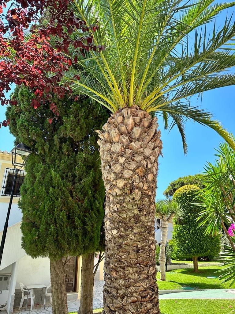 Casa De Emilia Vera Coast Playas de Vera Екстериор снимка