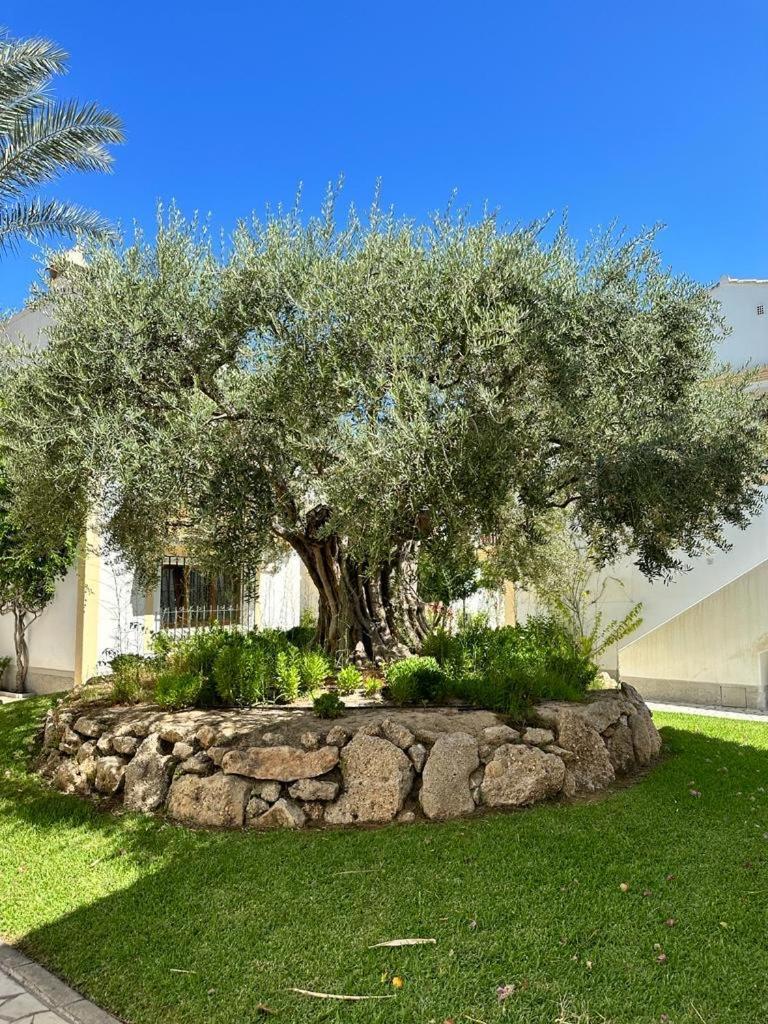 Casa De Emilia Vera Coast Playas de Vera Екстериор снимка